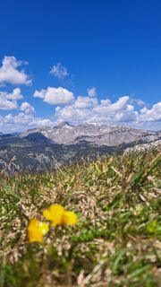 Photo de isor8.7. le long du parcours