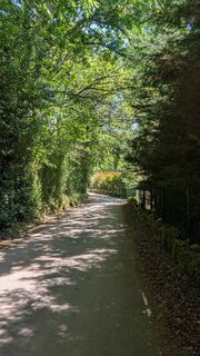 Foto von Günter Ripken entlang der Tour