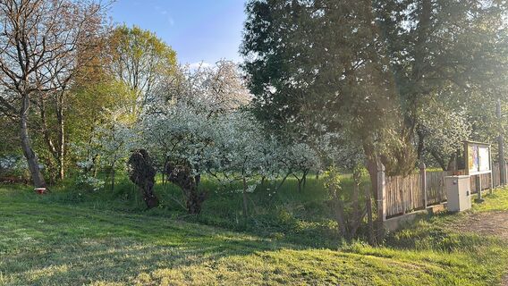 Foto de Johann Pegrin a lo largo del recorrido