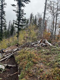 Fotografia z csamay na trase