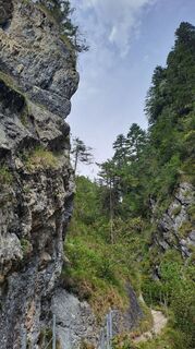 Photo de Gyula Mészáros le long du parcours