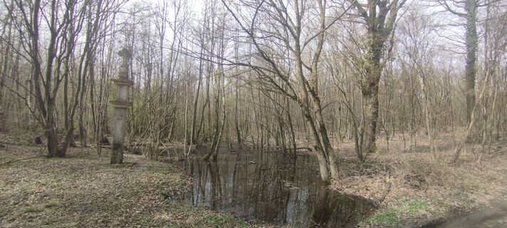 Foto von Christine Fischer entlang der Tour