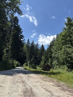Photo de Heinz Sperl le long du parcours