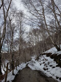 Foto de Aner a lo largo del recorrido