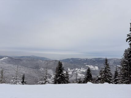 Photo de Martina Řezáčová le long du parcours