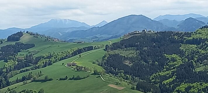 Fotografia z Michael Müllner sen. na trase