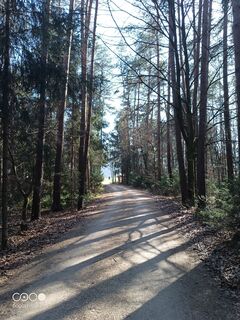 Foto von Gerald Lipouschek entlang der Tour