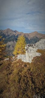 Fotografija s spletne strani Isabella Schwaiger-Moser na poti