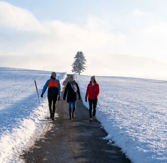 Winterwandern bei Buflings