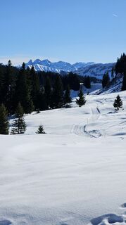 Foto von Marlyse Leu entlang der Tour