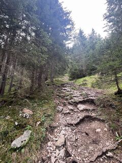 Foto von Sweet I‘m entlang der Tour