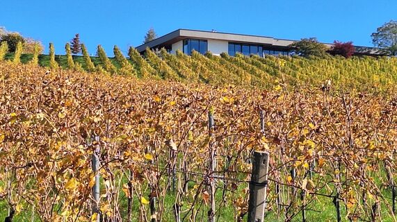 Fotografia z Karl Kriegseisen na trase