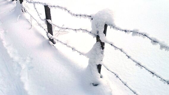 Im Schnee auf die Packeralpe