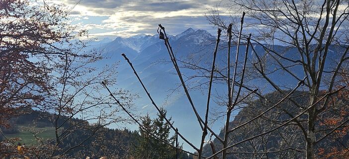 Fotografija s spletne strani Roswitha Polz na poti
