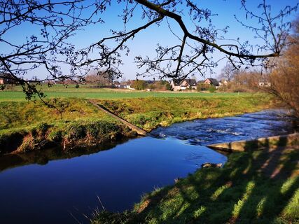 Mühlenbach an der Emsaue