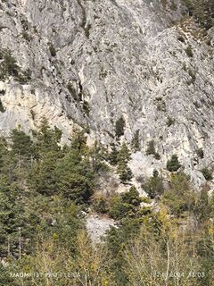 Photo de Karl-Heinz le long du parcours