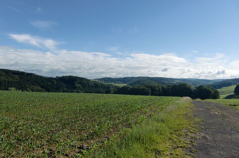 Ausblick von Hohkeppel
