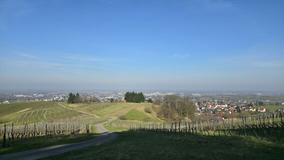 Fotografia z Yvonne Karcher na trase