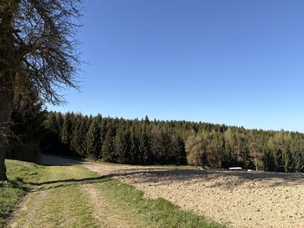 Zdjęcie z Nina Astleitner wzdłuż trasy