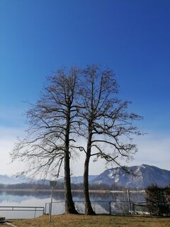 Foto von Dagmar Hofer entlang der Tour