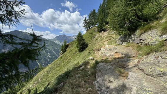 Photo de peter_oe le long du parcours