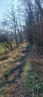Pfad im Kaywald