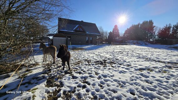Foto von Edit Szoboszlay entlang der Tour
