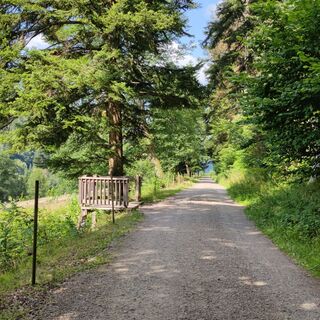 Zwischen Wald und Wiesen geht es nach Bad Herrenalb