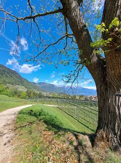 Photo de Egnerute le long du parcours