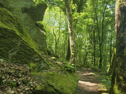 Fotografija s spletne strani Wil van Delft na poti