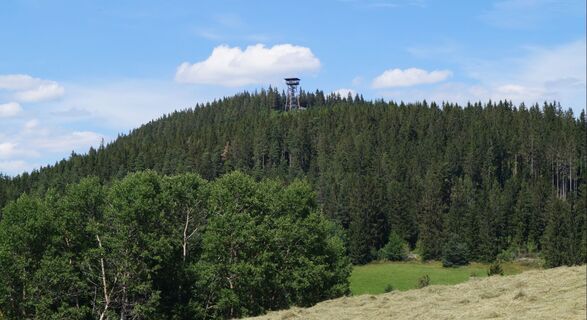 Riesenbühlturm