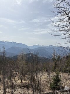 Photo de NezSari le long du parcours