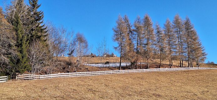 Zdjęcie z Mario Moldenhauer wzdłuż trasy