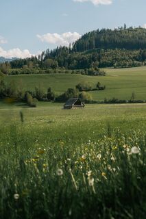 79 - laufrunde-woerschach-enns-11 © Christoph Lukas (2025-06).jpg