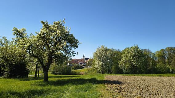 Fotografija s spletne strani otmar strasser na poti