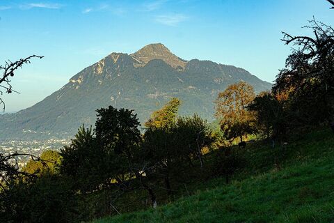 Der Môle vom Wald bei Châtillon-sur-Cluses aus