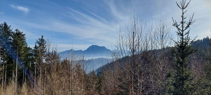 Photo de Claudia W. le long du parcours