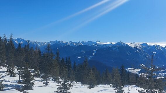 Fotografija s spletne strani Karin Svozil na poti