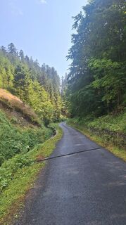 Foto de Matej Mikus 1 a lo largo del recorrido