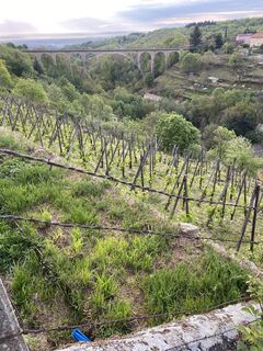 Fotografie z Jean-paul Dugain na trase