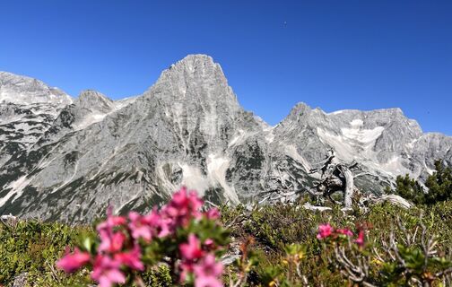 Foto von Mamamia entlang der Tour