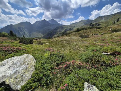 Fotografija s spletne strani melvet na poti