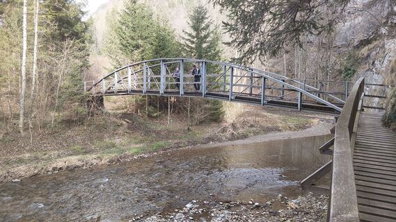 Foto de Ellsi a lo largo del recorrido