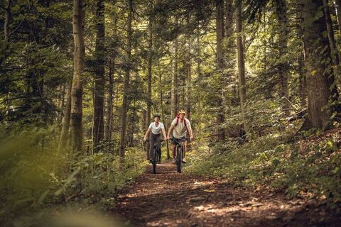 Trekkingstrecke durch den westlichen Wienerwald