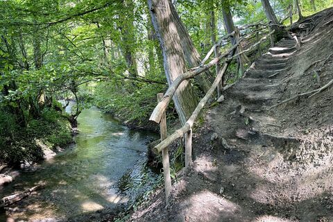 Foto von Gloop entlang der Tour