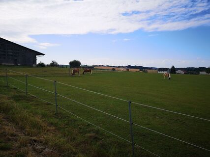 Foto från roxana62 under resans gång