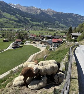 Foto von Edi Schwaiger entlang der Tour