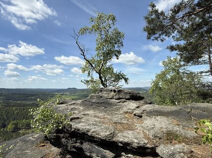 Foto de Norbert Herbig a lo largo del recorrido