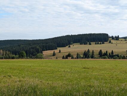 Foto de David Krejčí 1 a lo largo del recorrido
