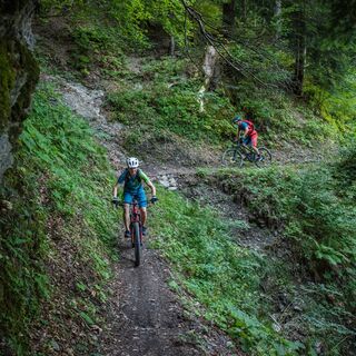 Singletrail im Valeistobel